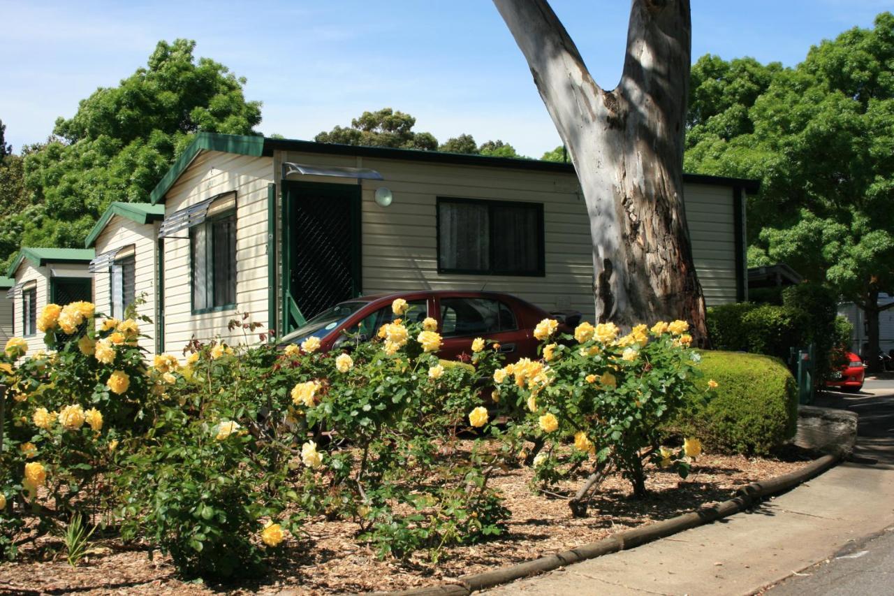 Levi Adelaide Holiday Park Exterior photo